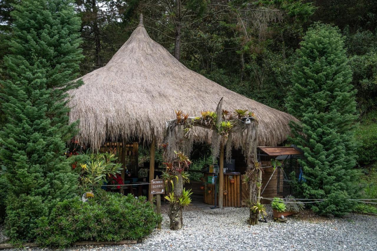 فندق Bubblesky Glamping 40 Min From Medellin إلريتيرو المظهر الخارجي الصورة