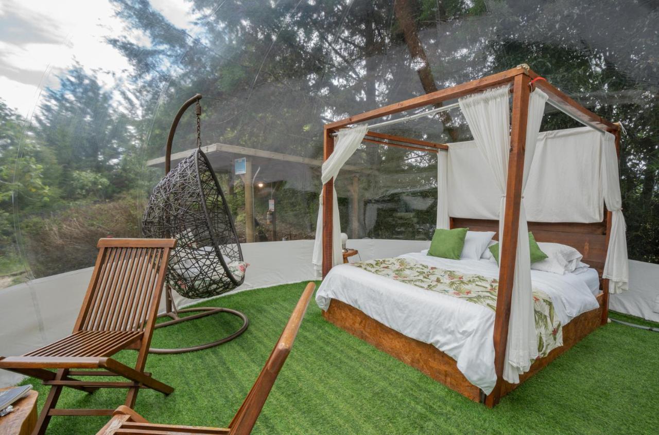 فندق Bubblesky Glamping 40 Min From Medellin إلريتيرو المظهر الخارجي الصورة