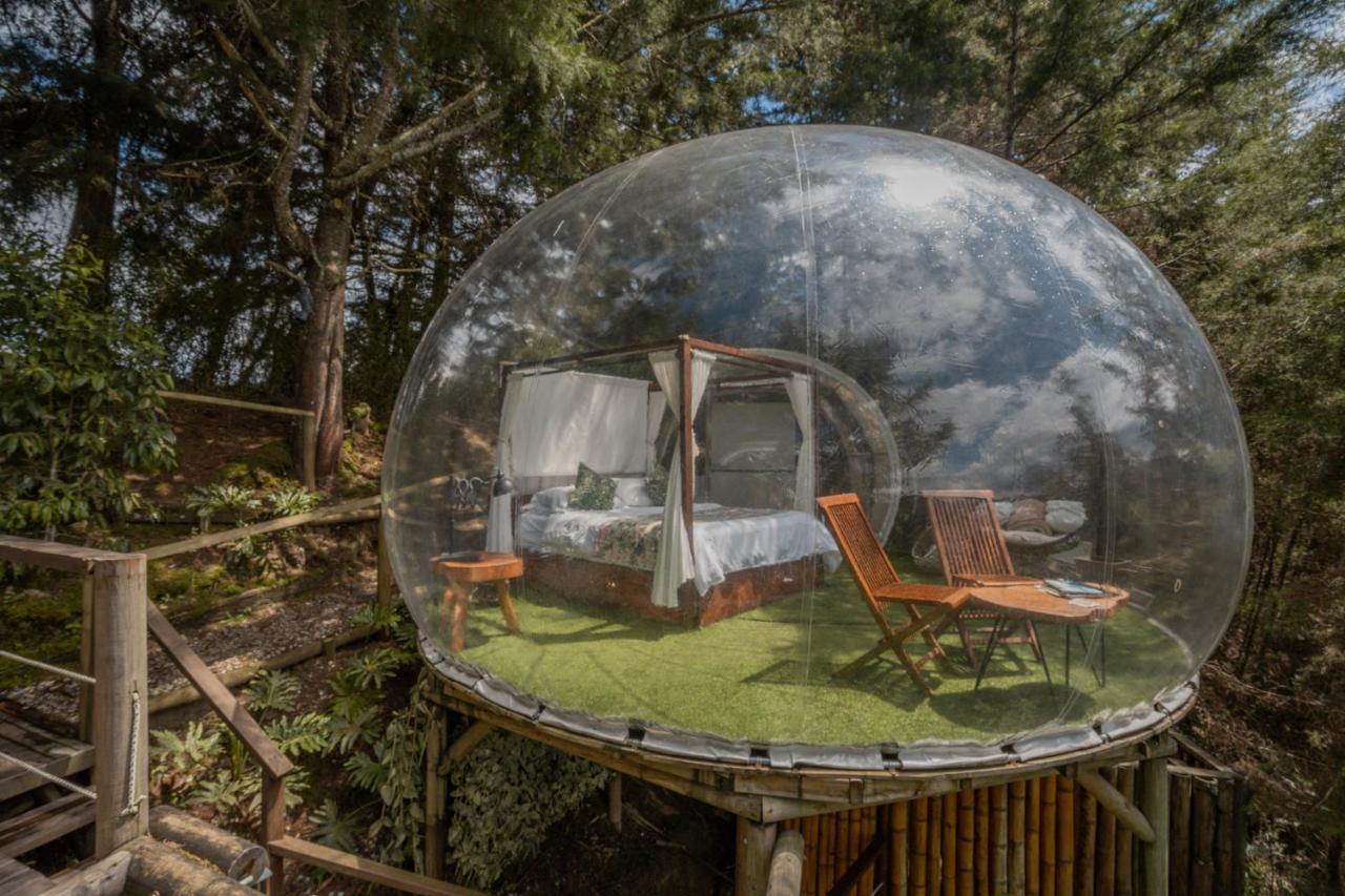 فندق Bubblesky Glamping 40 Min From Medellin إلريتيرو المظهر الخارجي الصورة