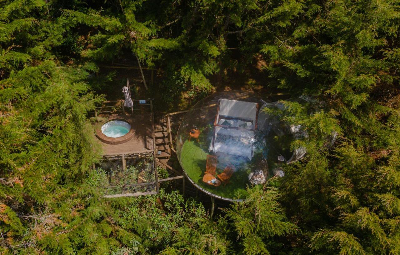 فندق Bubblesky Glamping 40 Min From Medellin إلريتيرو المظهر الخارجي الصورة