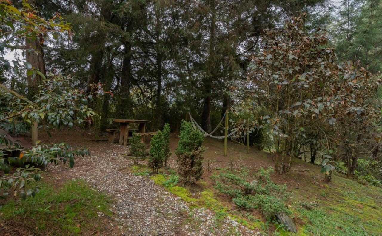 فندق Bubblesky Glamping 40 Min From Medellin إلريتيرو المظهر الخارجي الصورة