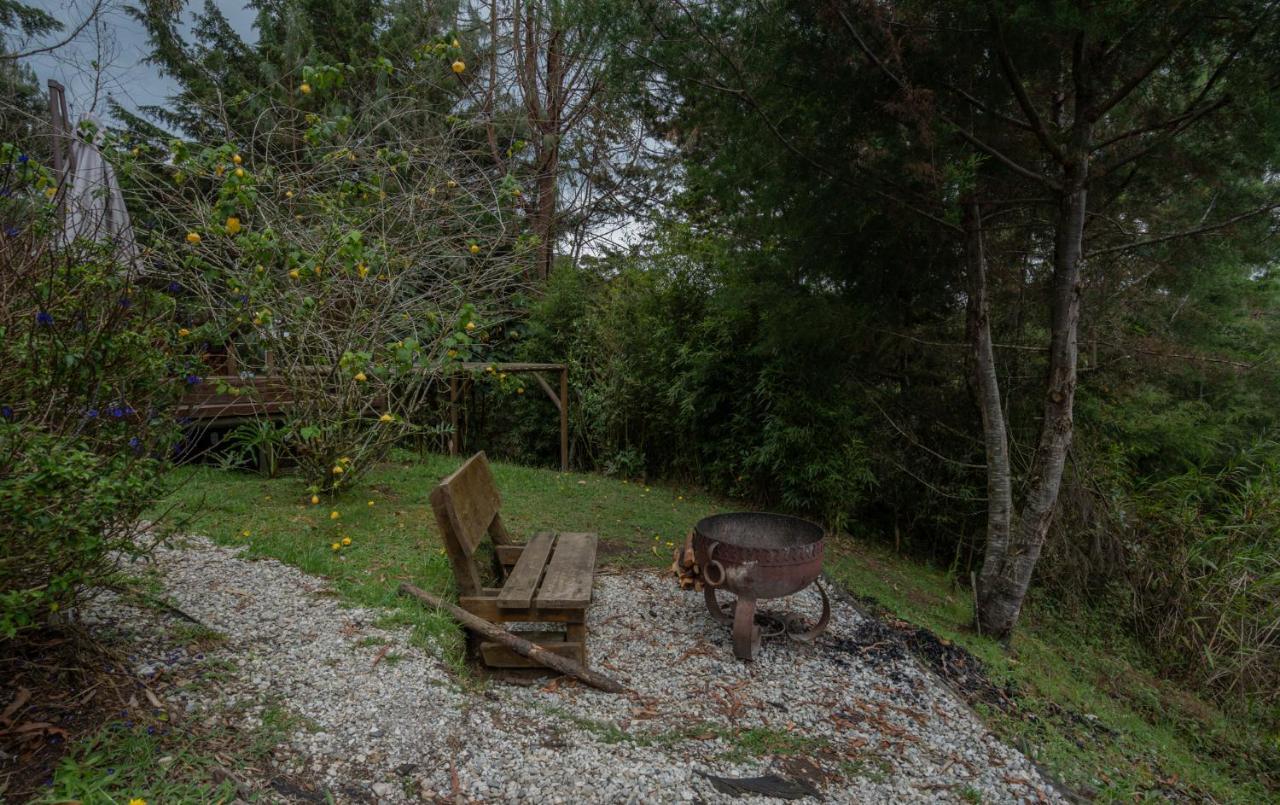 فندق Bubblesky Glamping 40 Min From Medellin إلريتيرو المظهر الخارجي الصورة