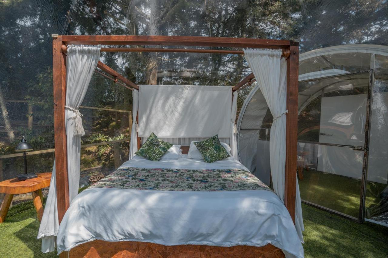 فندق Bubblesky Glamping 40 Min From Medellin إلريتيرو المظهر الخارجي الصورة