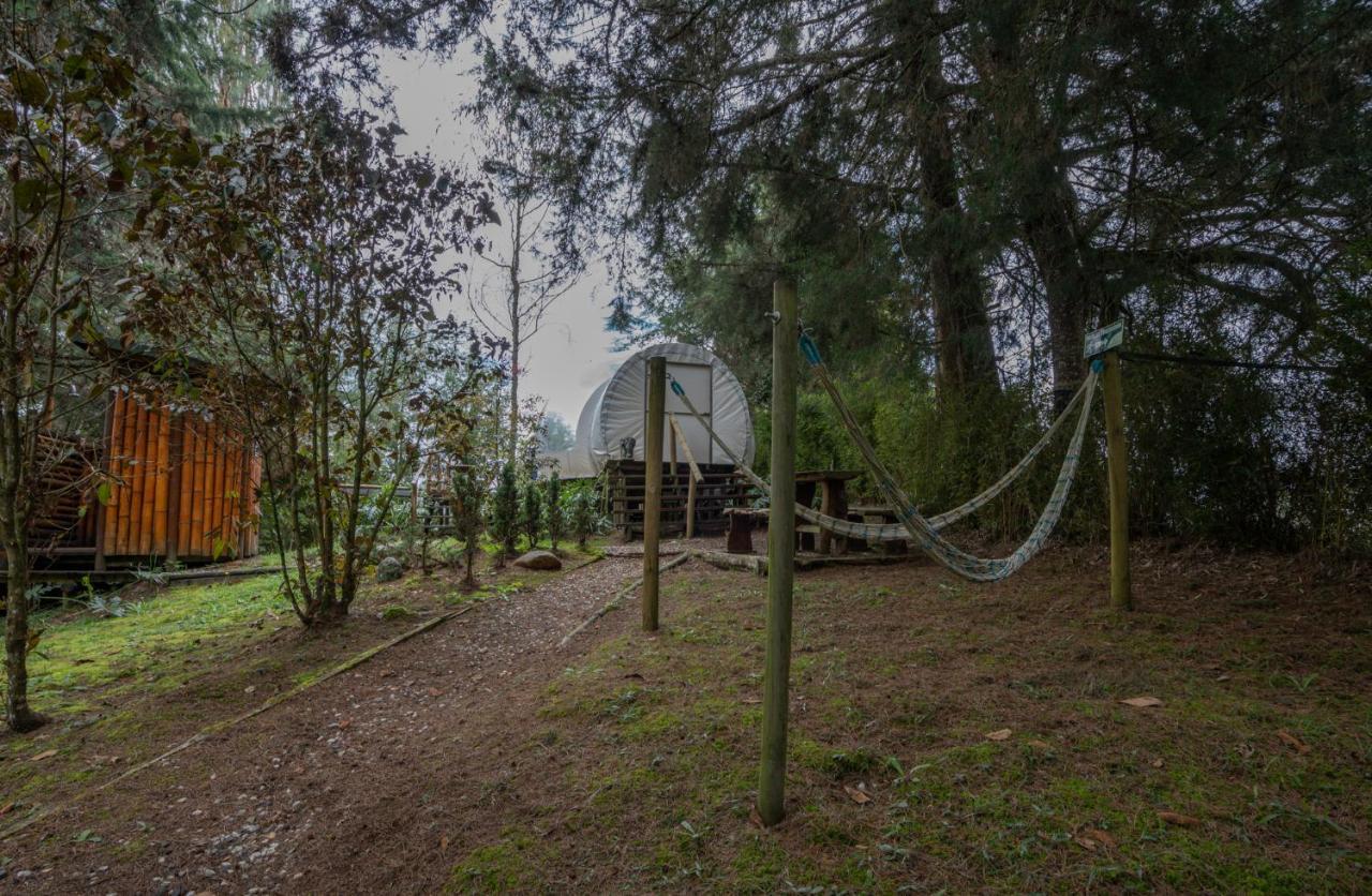 فندق Bubblesky Glamping 40 Min From Medellin إلريتيرو المظهر الخارجي الصورة